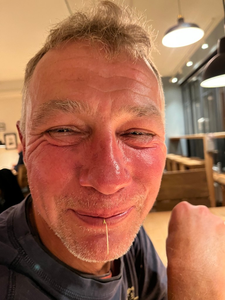 Hamburg, Pinneberg, Schleswig-Holstein,Hamburg, Germany