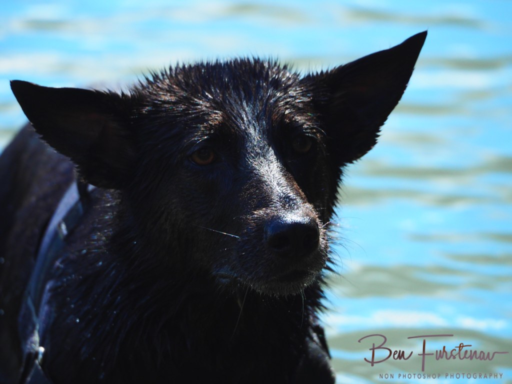 Erkermederstrand, Zwolle, The Netherlands
