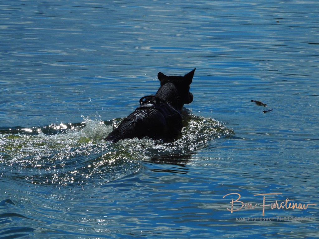 Erkermederstrand, Zwolle, The Netherlands