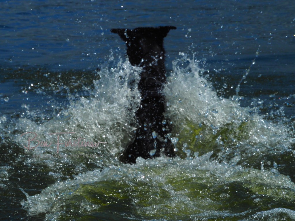 Erkermederstrand, Zwolle, The Netherlands