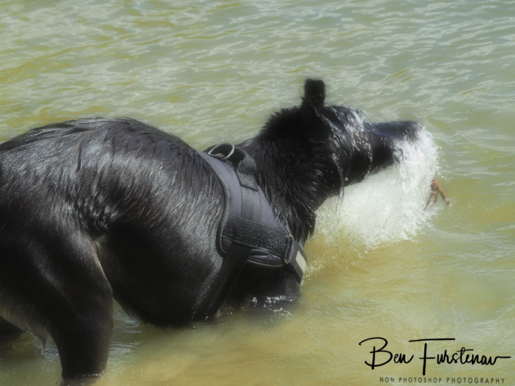 Erkermederstrand, Zwolle, The Netherlands