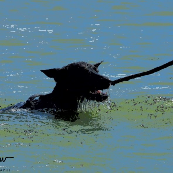 Erkermederstrand, Zwolle, The Netherlands
