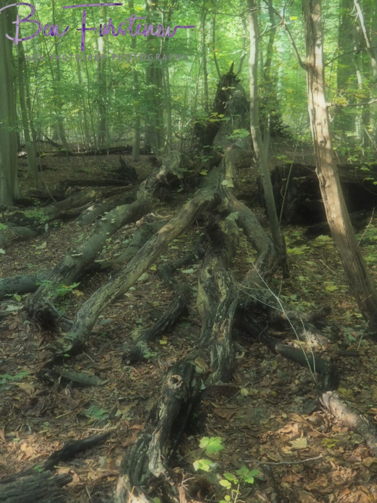 Landgood Elswout Overveen, Amsterdam, Holland, Europe