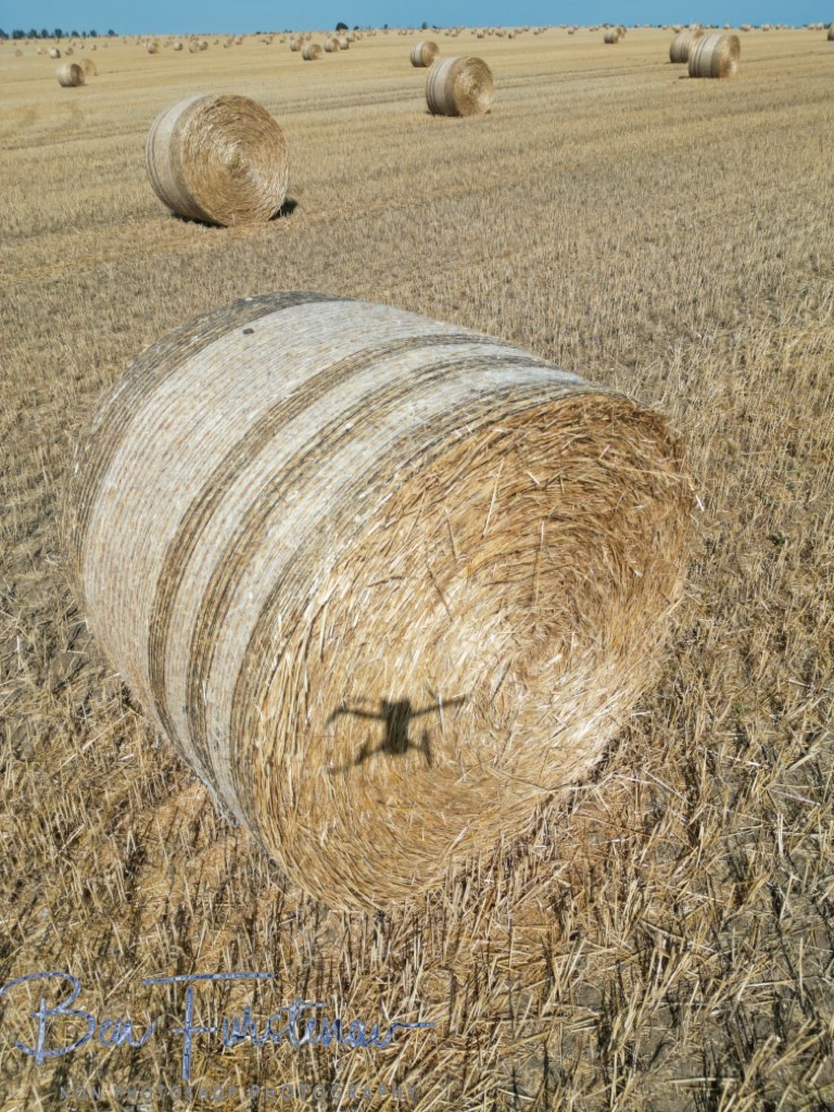 Oschersleben, Bode, Germany