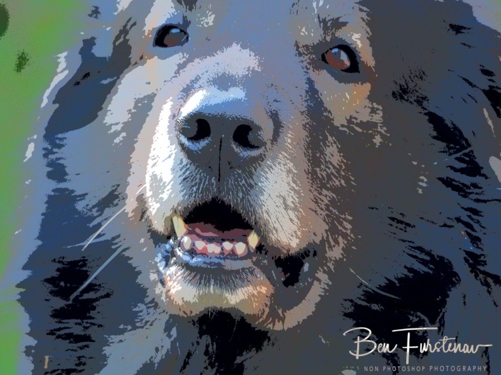 Oschersleben, Bode, Germany