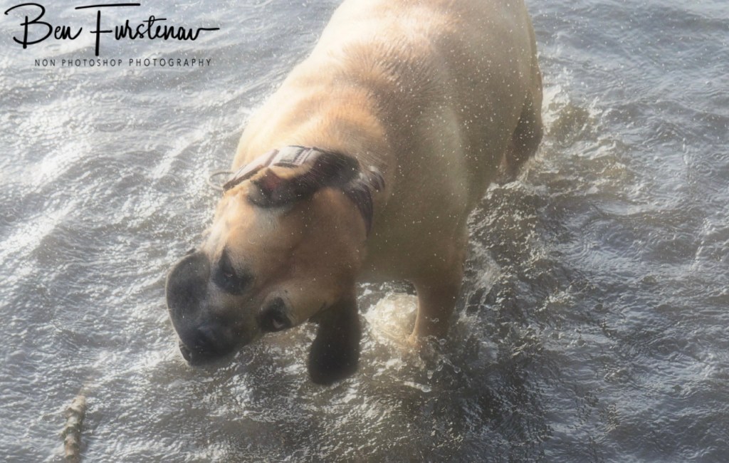 Oschersleben, Bode, Germany