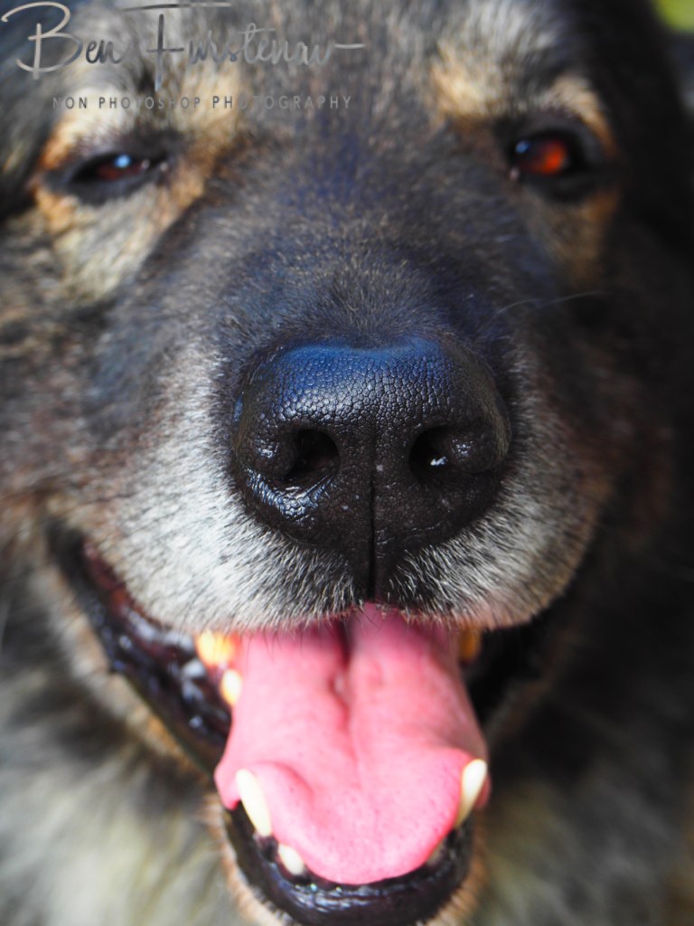 Oschersleben, Bode, Germany