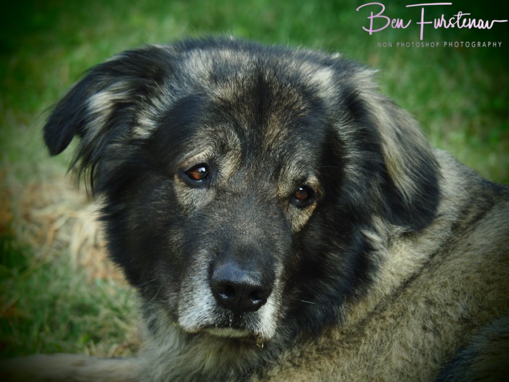 Oschersleben, Bode, Germany