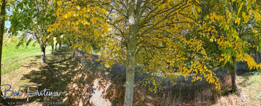 Oschersleben, Bode, Germany