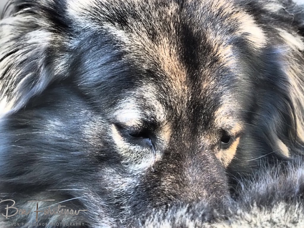 Oschersleben, Bode, Germany