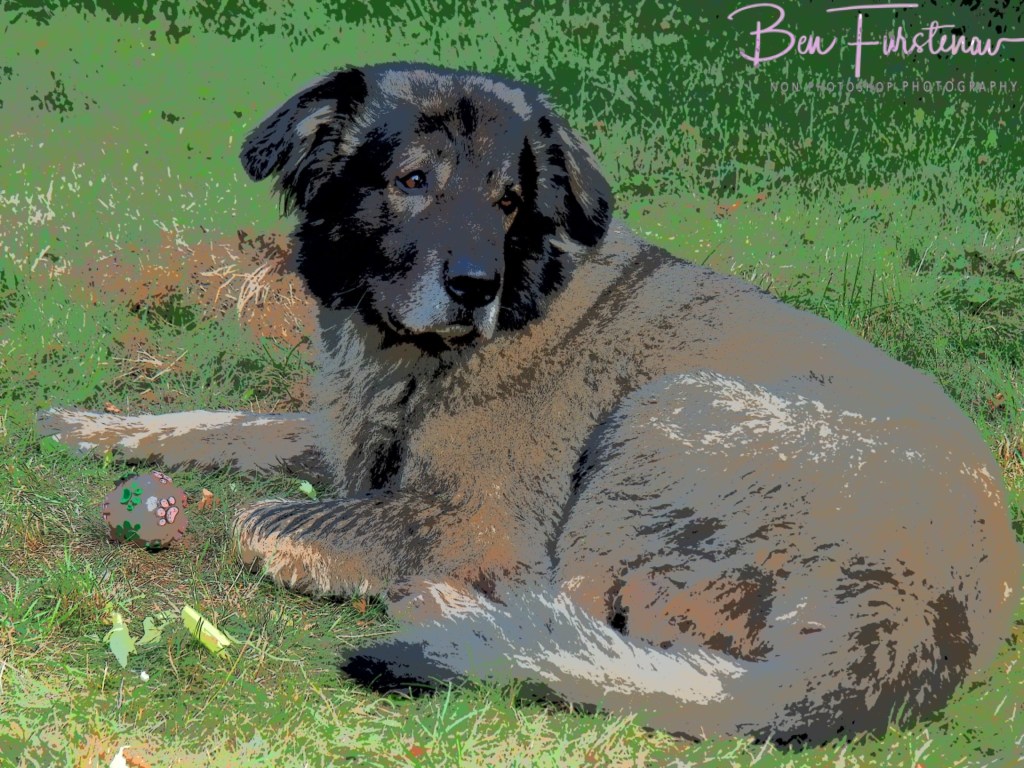 Oschersleben, Bode, Germany