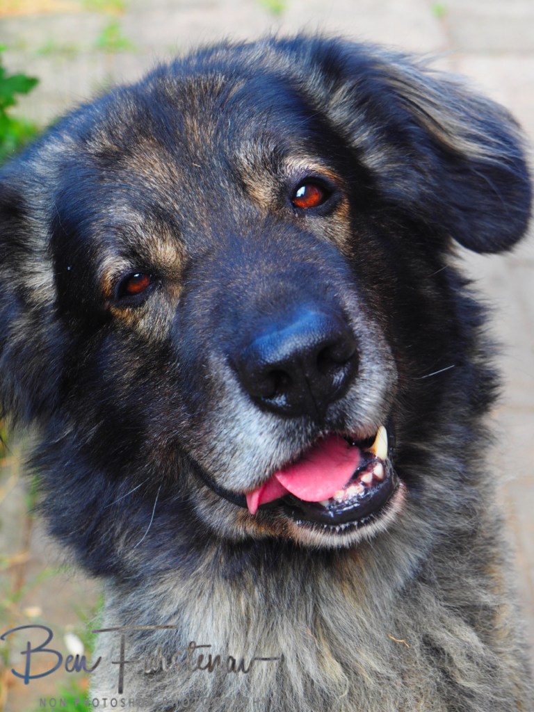 Oschersleben, Bode, Germany
