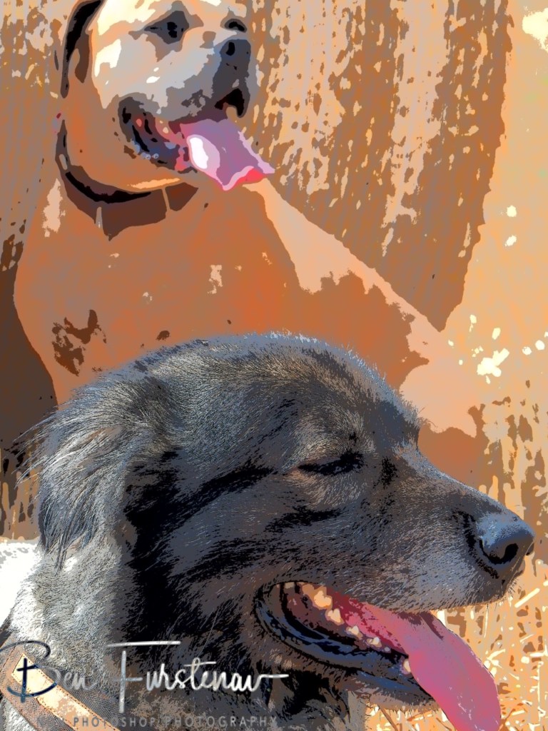 Oschersleben, Bode, Germany