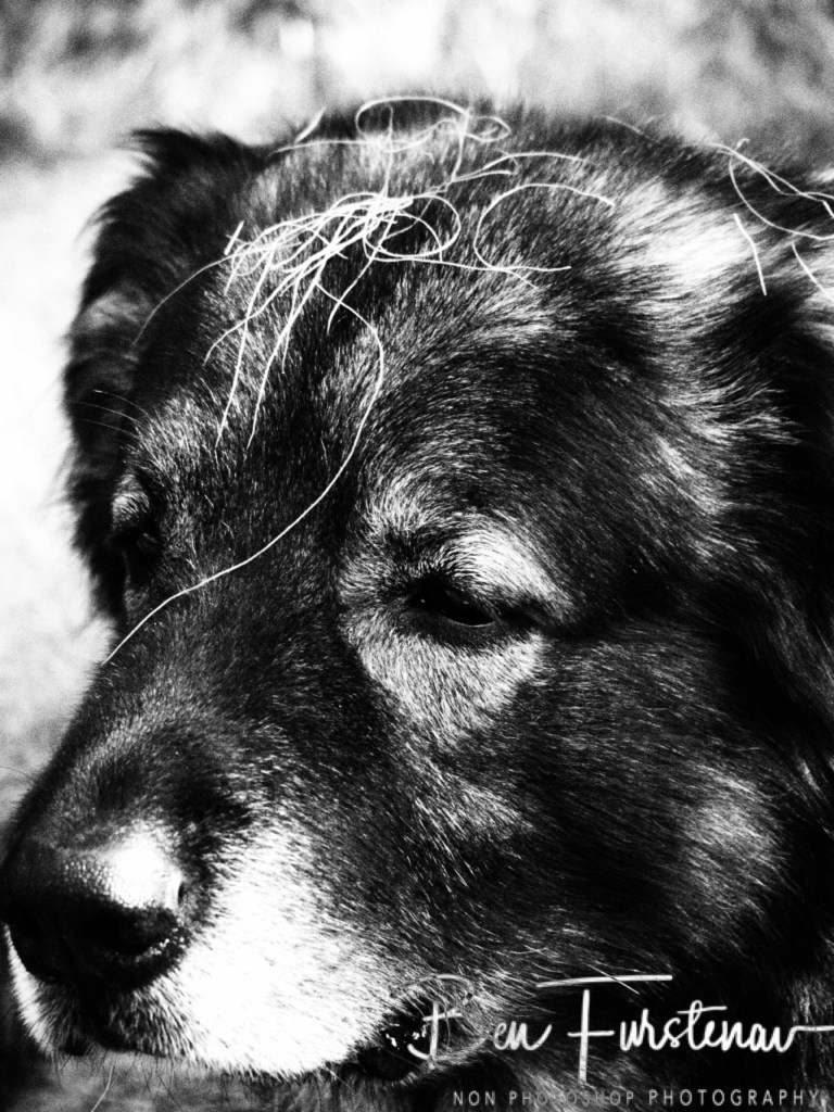 Oschersleben, Bode, Germany