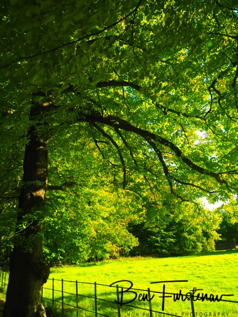 Landgood Elswout Overveen, Amsterdam, Holland, Europe