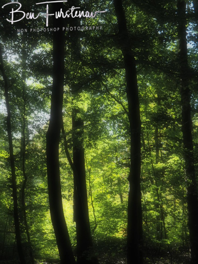 Landgood Elswout Overveen, Amsterdam, Holland, Europe