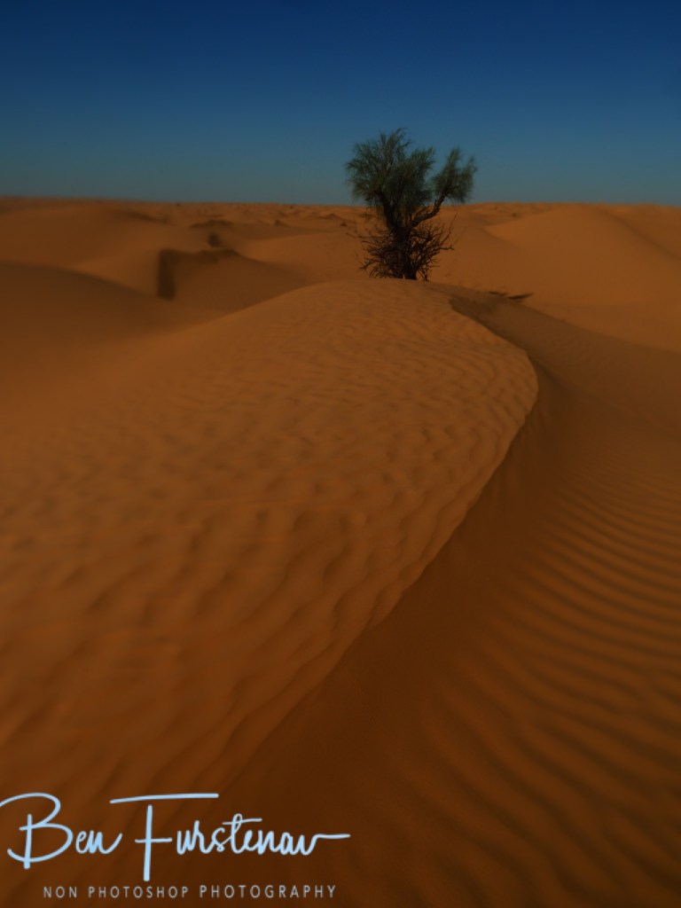 Sahara Desert, Douz, Tunisia, Africa