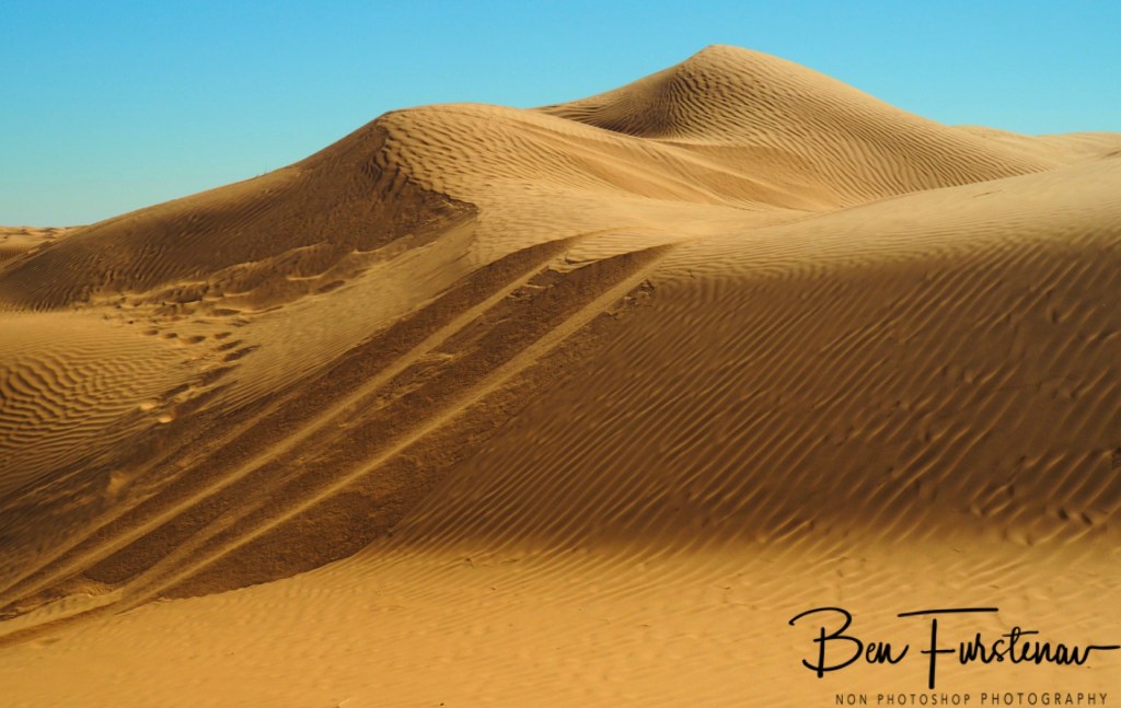 Sahara Desert, Douz, Tunisia, Africa
