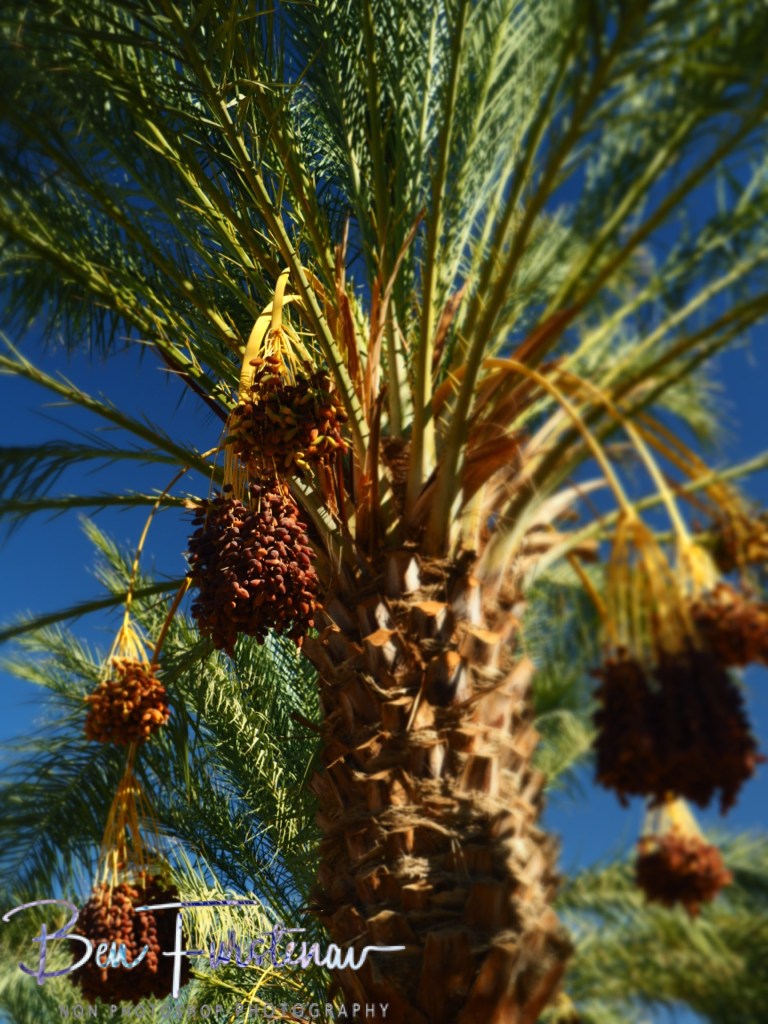 Sahara Desert, Douz, Tunisia, Africa