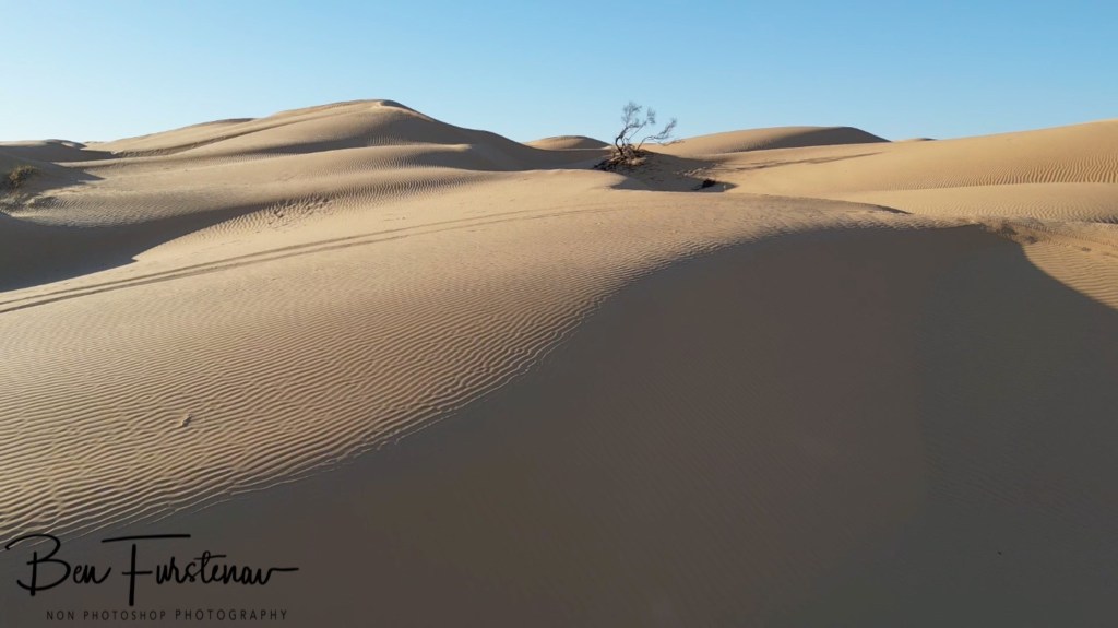 Sahara Desert, Douz, Tunisia, Africa