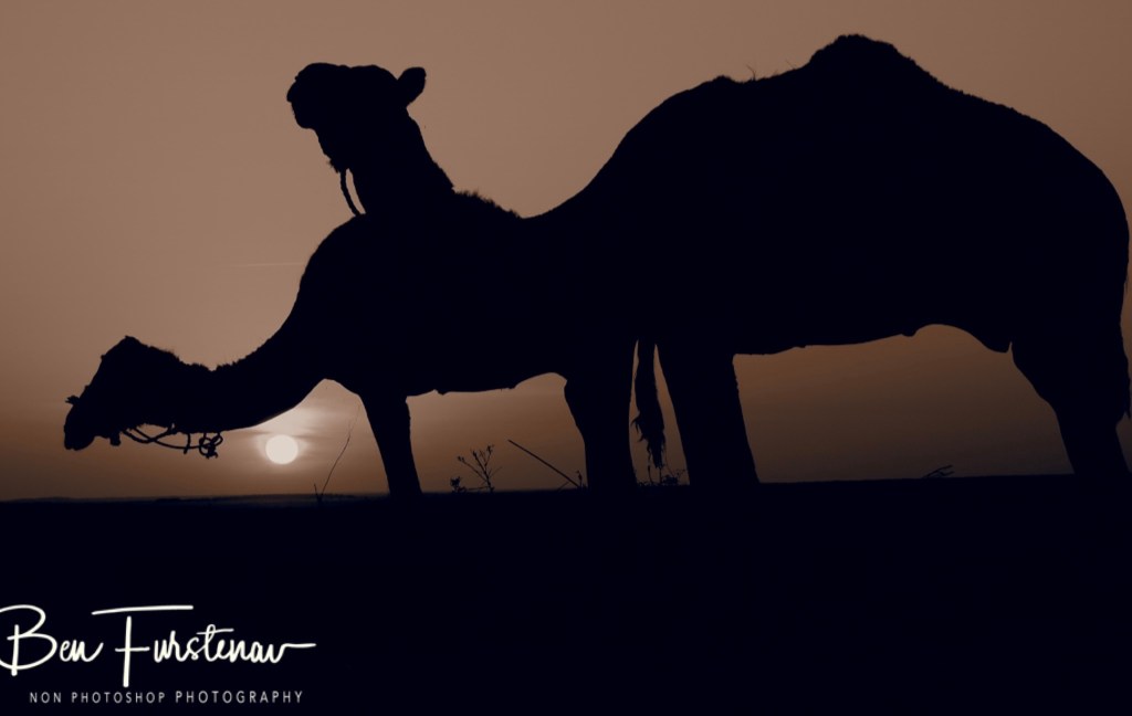 Sahara Desert, Douz, Tunisia, Africa