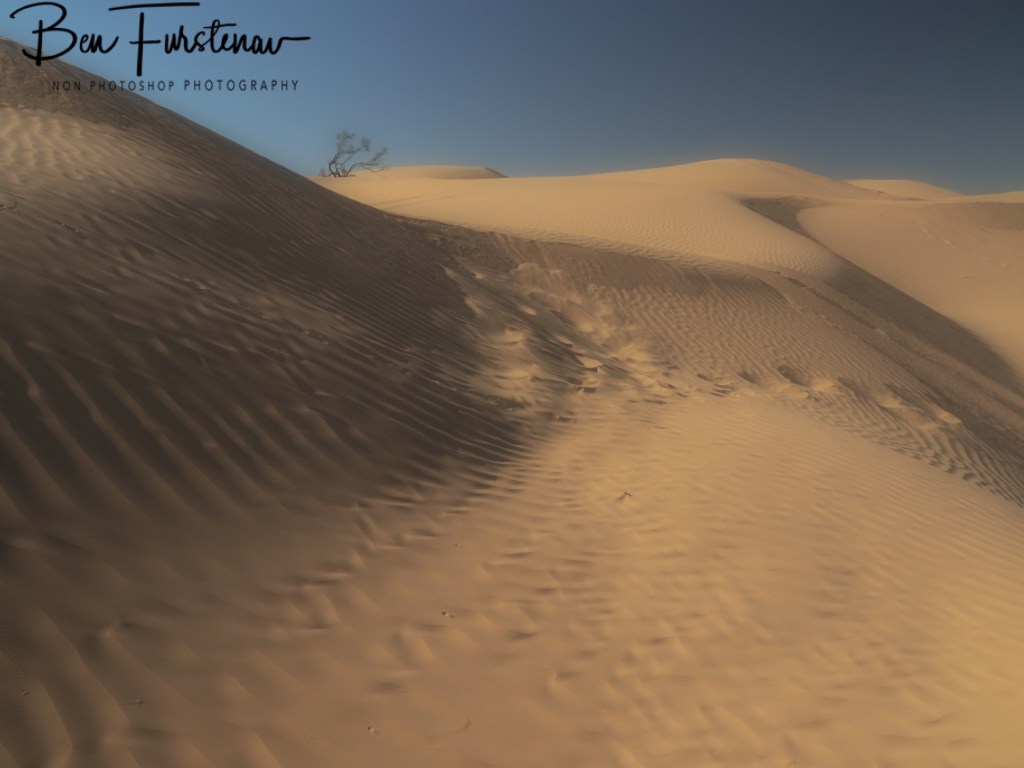 Sahara Desert, Douz, Tunisia, Africa