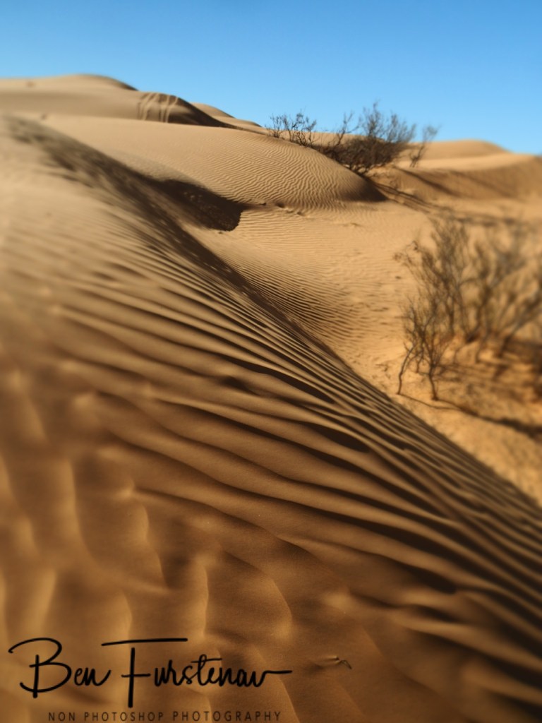 Sahara Desert, Douz, Tunisia, Africa