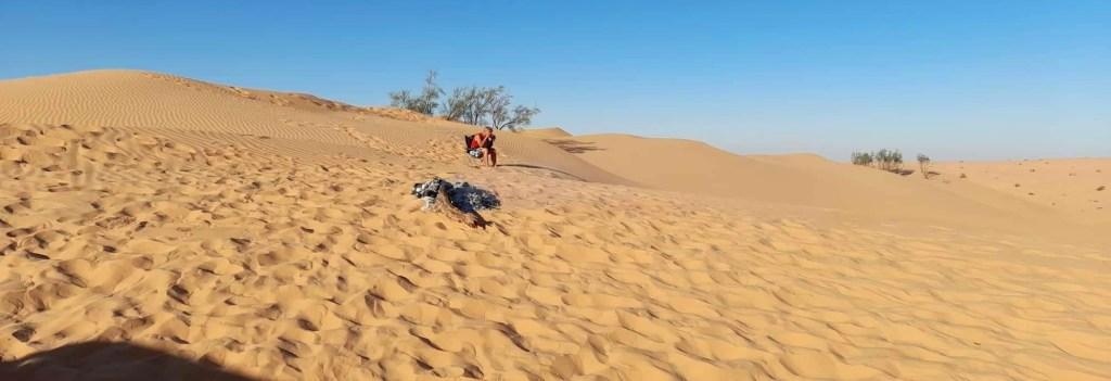 Sahara Desert, Douz, Tunisia, Africa