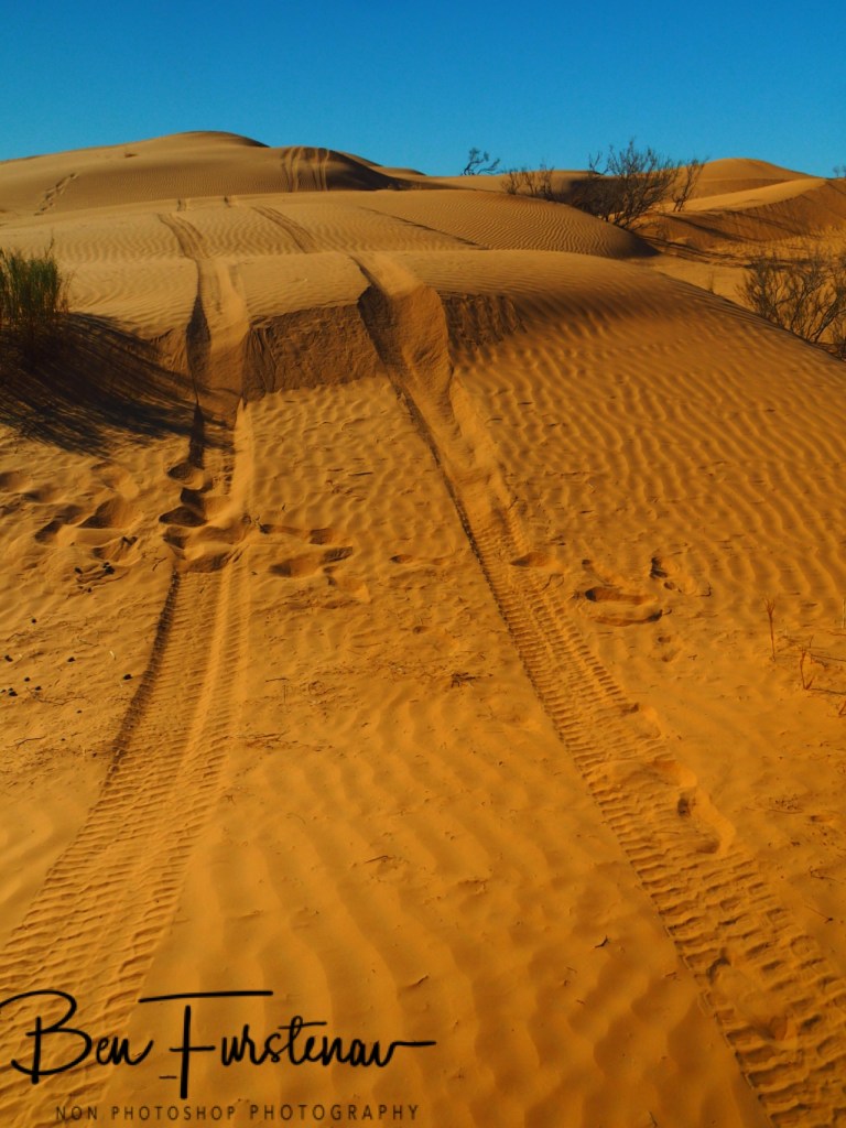 Sahara Desert, Douz, Tunisia, Africa