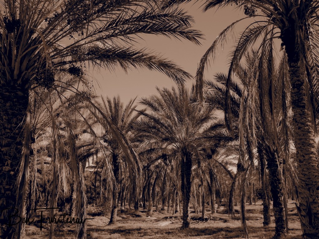 Sahara Desert, Douz, Tunisia, Africa