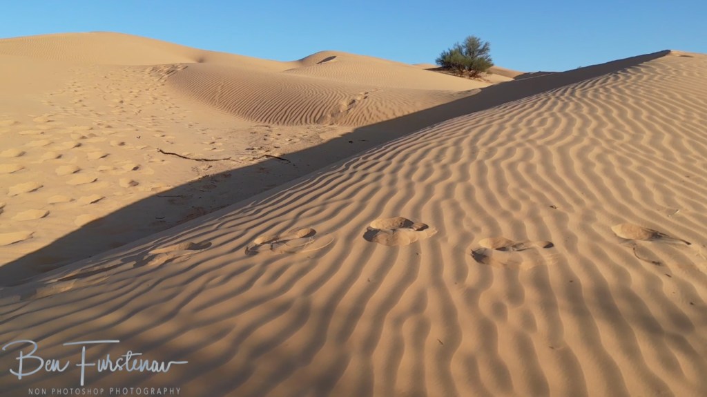 Sahara Desert, Douz, Tunisia, Africa