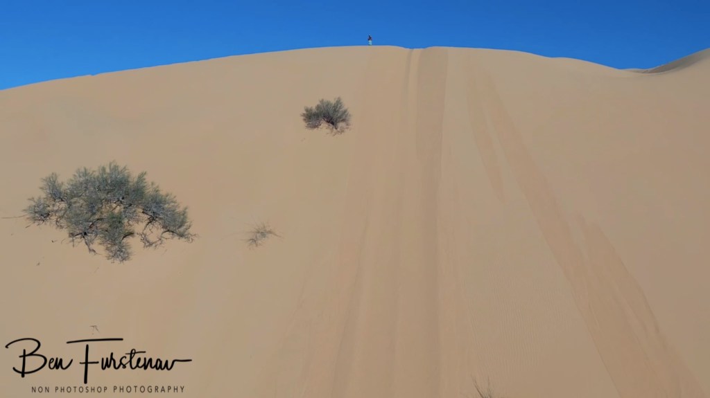 Sahara Desert, Douz, Tunisia, Africa