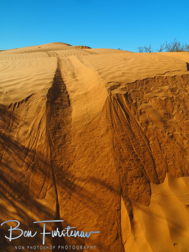 Sahara Desert, Douz, Tunisia, Africa