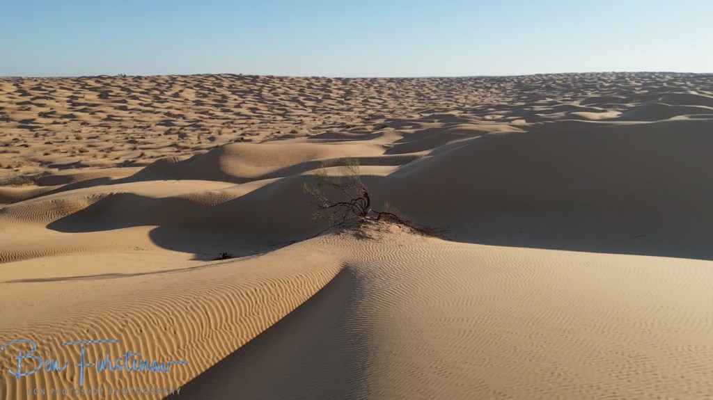 Sahara Desert, Douz, Tunisia, Africa