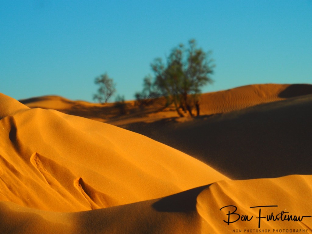 Sahara Desert, Douz, Tunisia, Africa