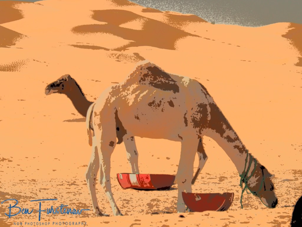 Sahara Desert, Douz, Tunisia, Africa