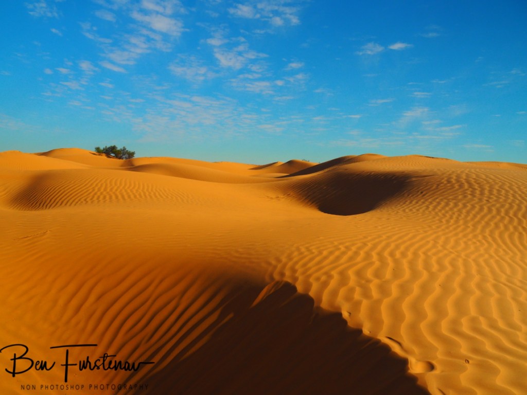 Sahara Desert, Douz, Tunisia, Africa