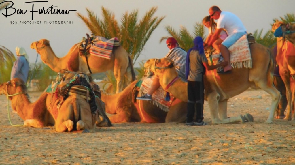 Sahara Desert, Douz, Tunisia, Africa