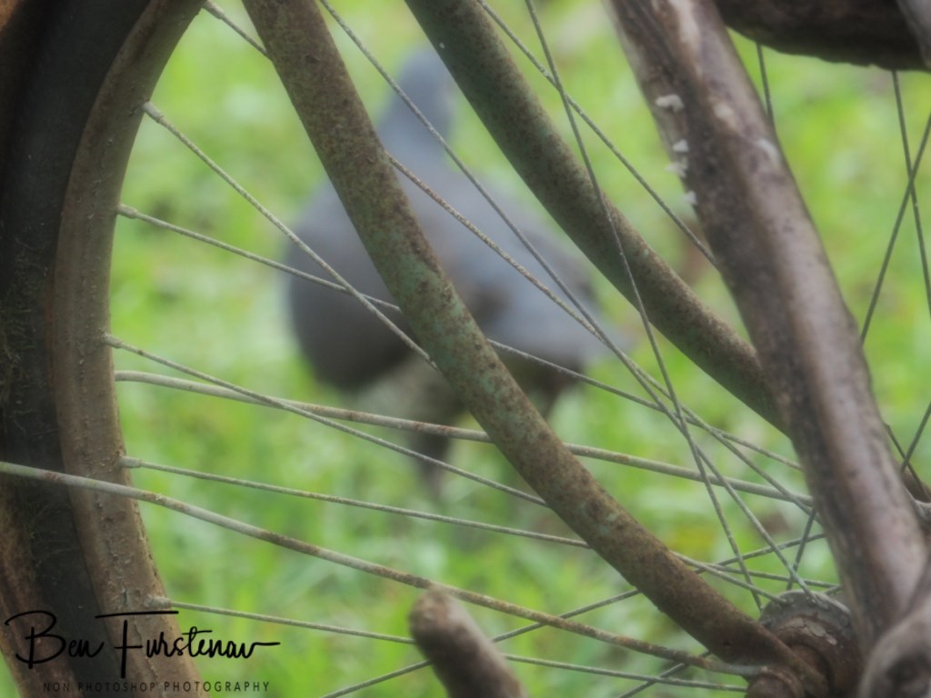 Valla, Northern New South Wales, Australia