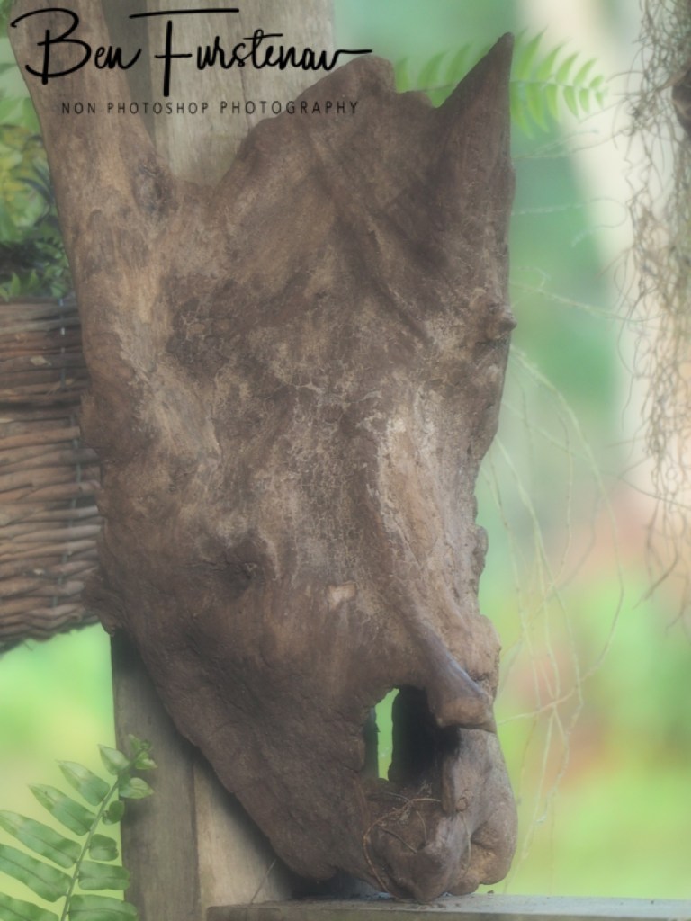 Valla, Northern New South Wales, Australia