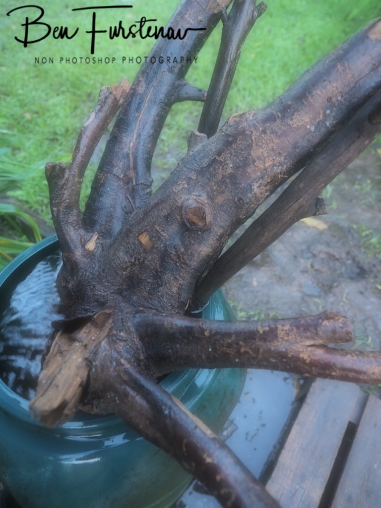 Valla, Northern New South Wales, Australia