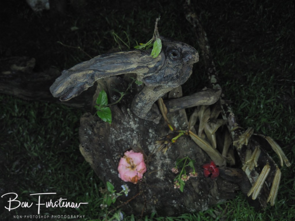 Valla, Northern New South Wales, Australia