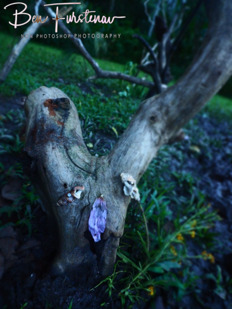 Valla, Northern New South Wales, Australia