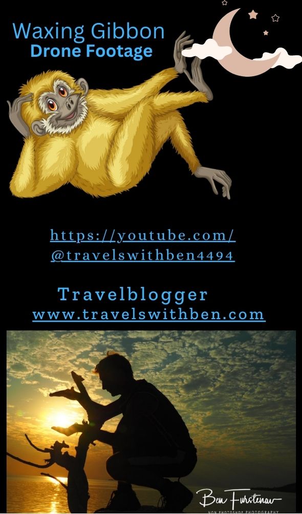 Drone Pilot, QR Code