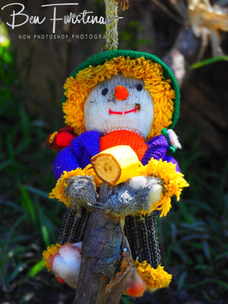 Valla, Northern New South Wales, Australia