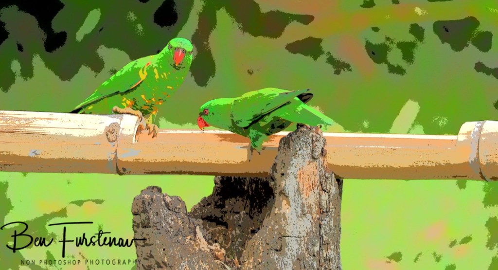 Valla, Northern New South Wales, Australia