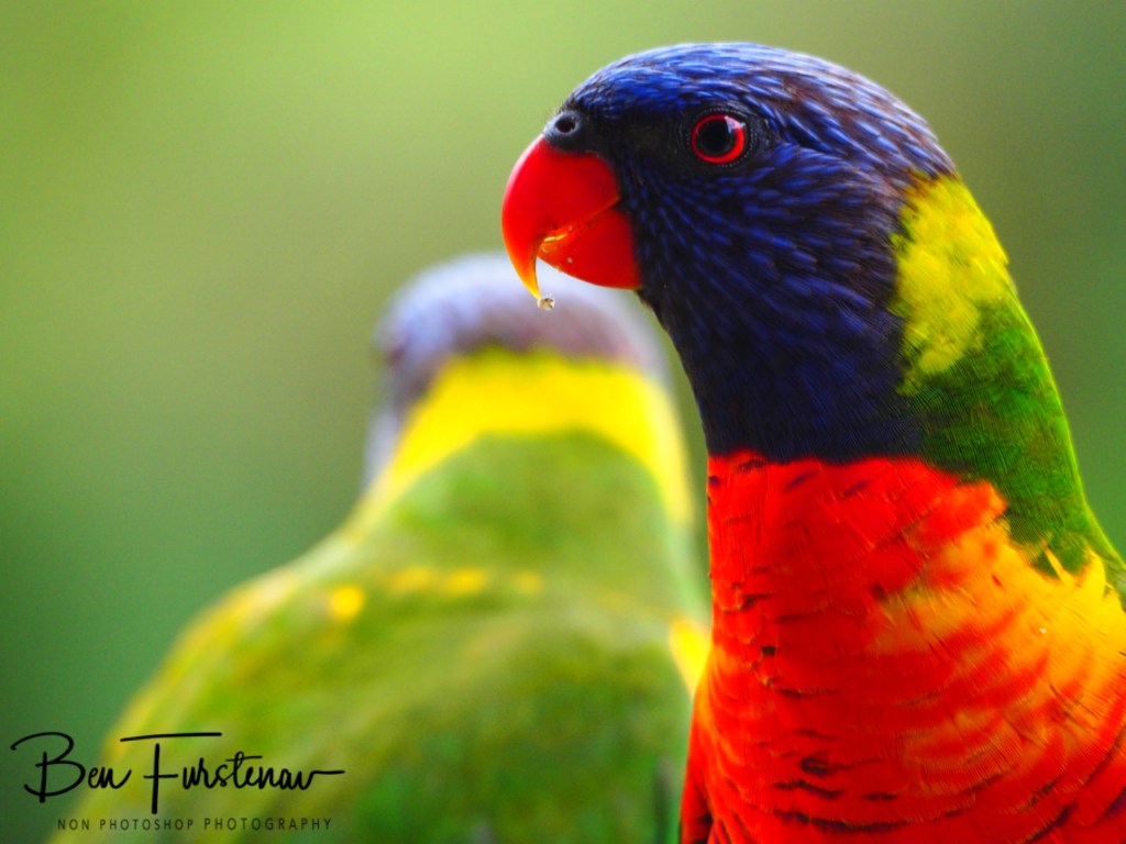 Valla, Northern New South Wales, Australia