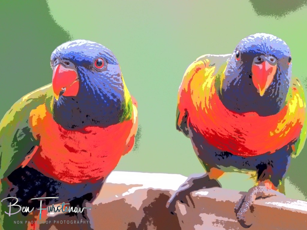 Valla, Northern New South Wales, Australia