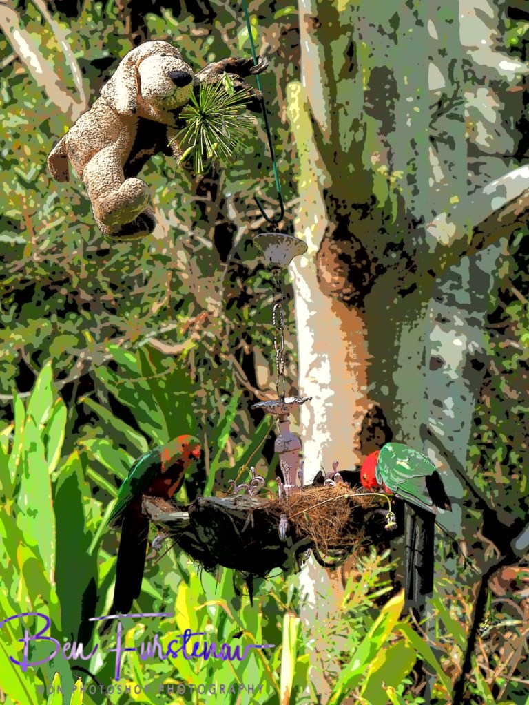 Valla, Northern New South Wales, Australia