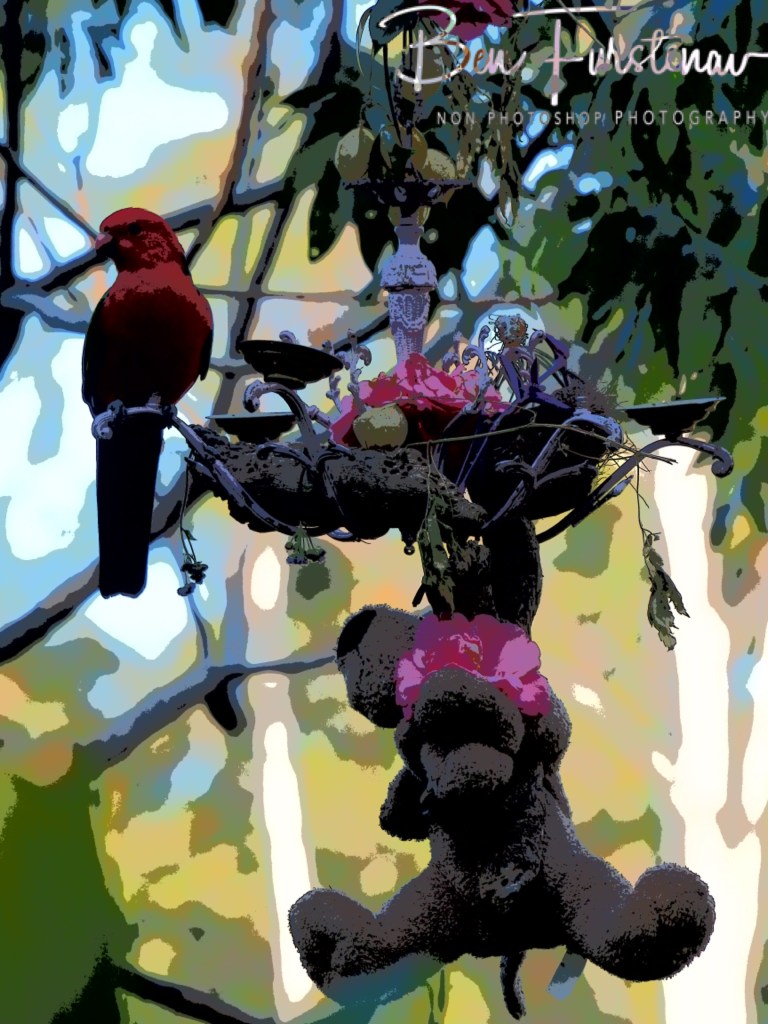 Valla, Northern New South Wales, Australia